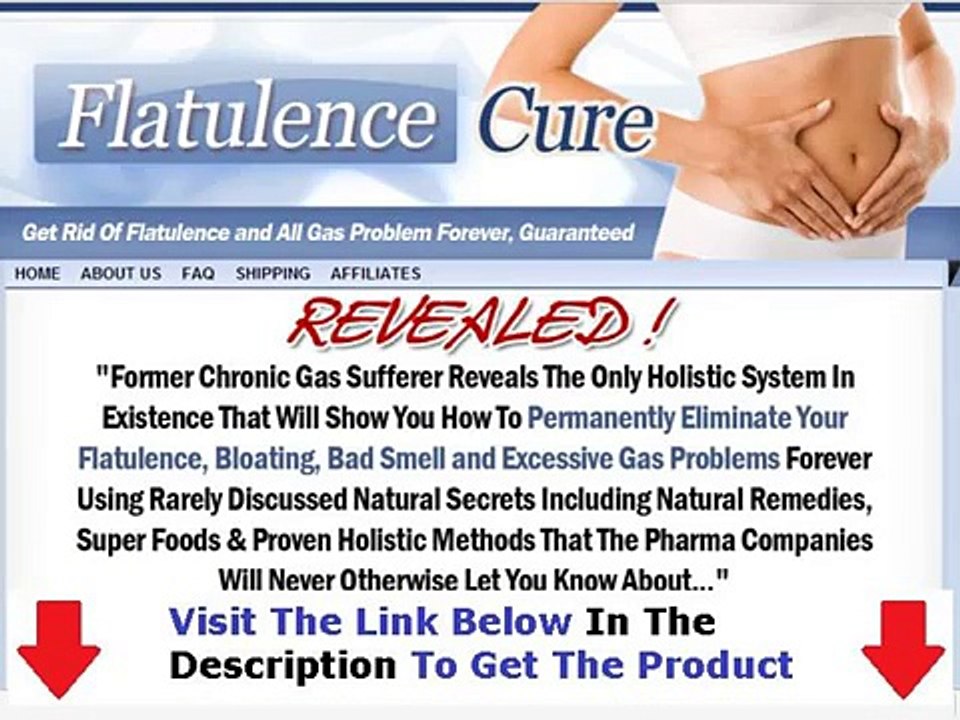 The Flatulence Cure Real Flatulence Cure Bonus + Discount
