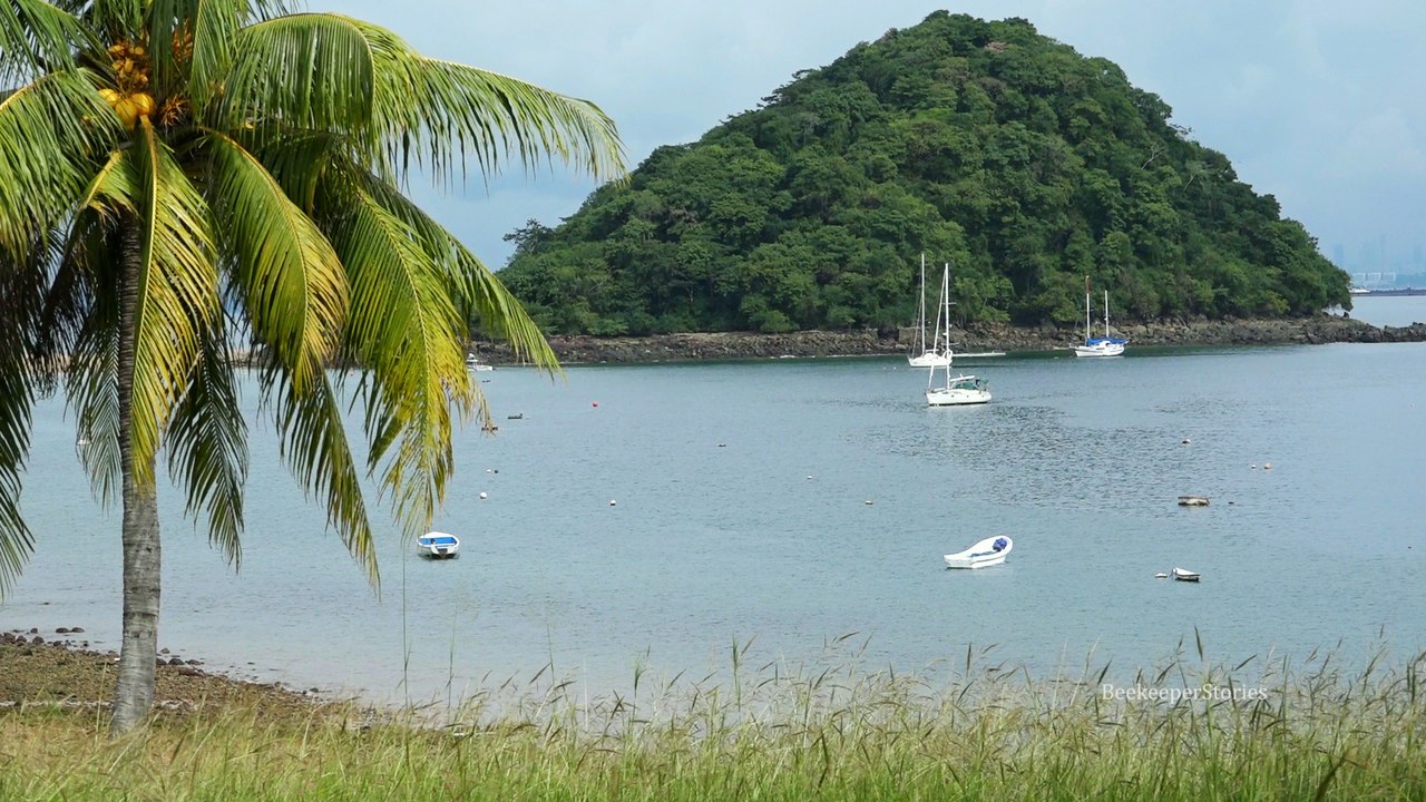 Taboga Island. Panama.