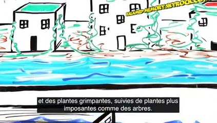 Que se passerait-il sur Terre si tous les humains disparaissaient ?