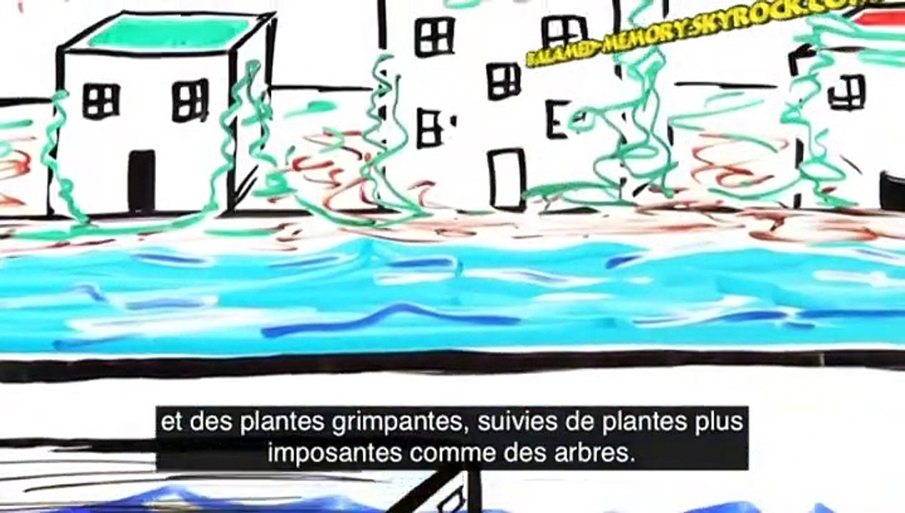 Que se passerait-il sur Terre si tous les humains disparaissaient ?