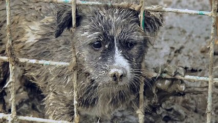 TARKAN - Mutlu Yuva Seferberliği