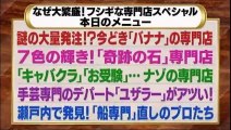 たけしのニッポンのミカタ20150213石田造船株式会社
