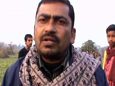 Дикие слоны убили 10 человек в Индии