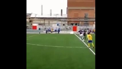 La tortue béglaise version foot