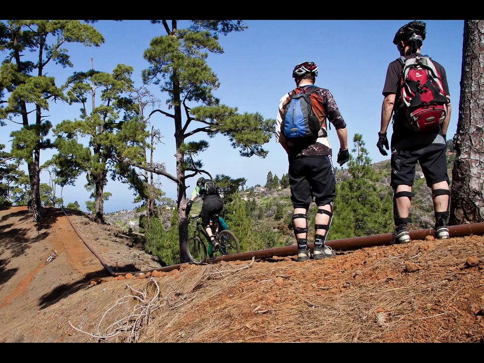 Bike-Sturz-Collection auf La Palma