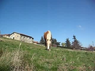 Octa Via qui vient me voir