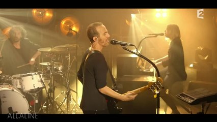 Alcaline, le Concert : Calogero et Cats On Trees - Sirens Call
