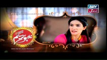 Bahu Begam Episode 115 Full