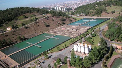 Varejistas sofrem com decisão do governo; dólar bate R$ 2,92