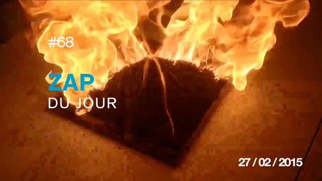 ZAP DU JOUR #68 : Embrasser une lionne énervée / Fabriquer un nuage / Rentrer gratuit en festival / Merci l'électricien ! /