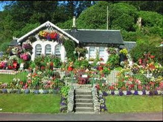 سمراء مها - فيروز و حنان