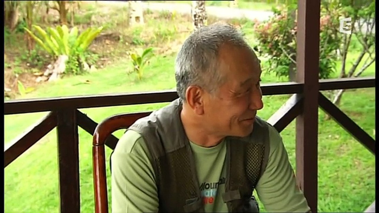 Les fous volants de la jungle