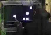 Unbelievable computer skills of monkey