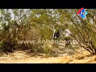 Angraji Kohenoor Tv 33 Funny clisp  2015 - Must Watch