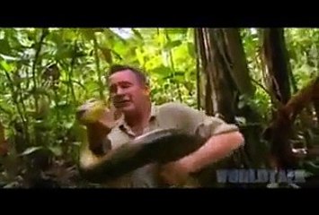 Man VS Anaconda ,Amazing Man- Video Dailymotion