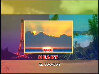 El corazon : Dios es conocido a traves de la razon