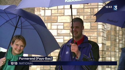 Un hibou sème la panique aux Pays-Bas