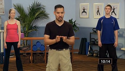 Learn tai chi for beginners-- Lift & Lower Phoenix Tail Combo