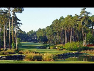 The Best of BunkerShot Golf Magazine - Volume 333