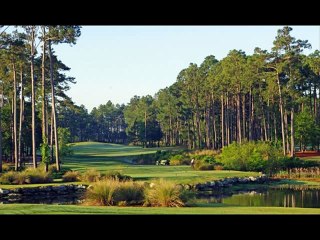 The Best of BunkerShot Golf Magazine - Volume 319