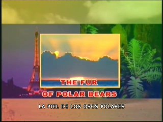 La piel de los osos polares : Dios es conocido a traves de la razon