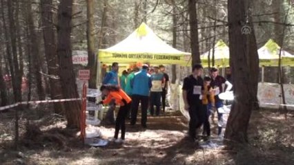 Alanya'da Oryantiring Yarışları Devam Ediyor