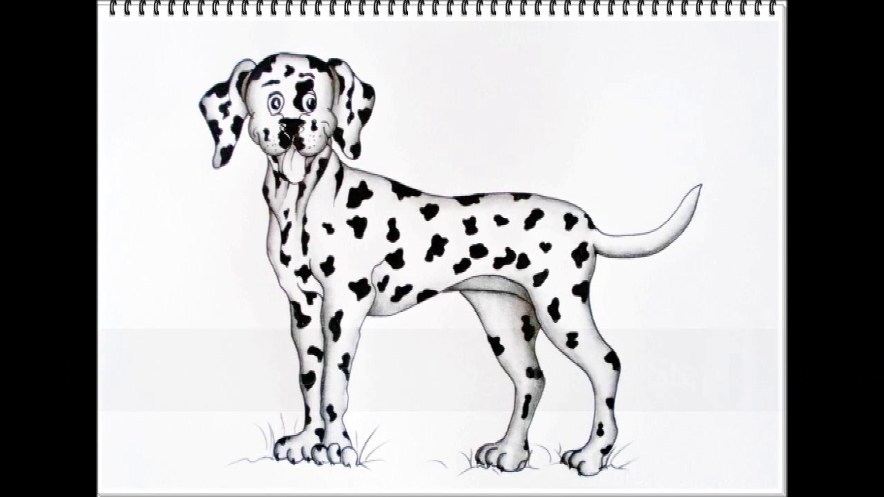 How to Draw a Dog Step by Step