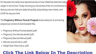 Pregnancy Without Pounds Michelle Moss Discount + Bouns