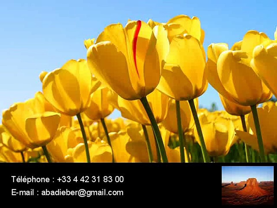 Magasins de rangement Schmidt Les-Pennes-Mirabeau dressings placards