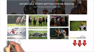 Tipster Warehouse - Home To Some Of The Most Profitable Tipsters