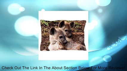CafePress Two Hyena Lying Down Pillow Case Review