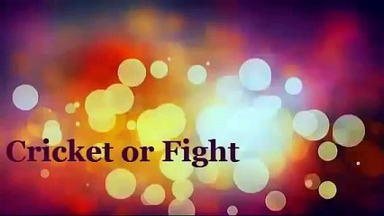 Unforgettable Fights of Cricket  India Vs Pakistan (2014)