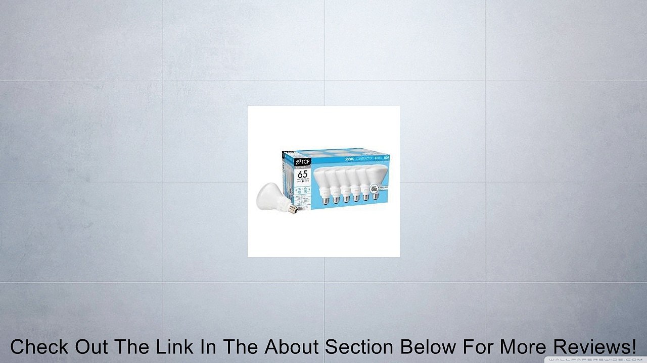 EcoSmart 14-Watt (65W) R30 Daylight CFL Light Bulb (6-Pack) (E)* Review