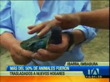Más del 50% de los animales del zoológico de Guayabillas fueron trasladados a otros lugares