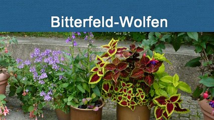 Großer Goitzschesee