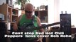 Can't stop Red Hot Chili Peppers  bass cover Bob Roha