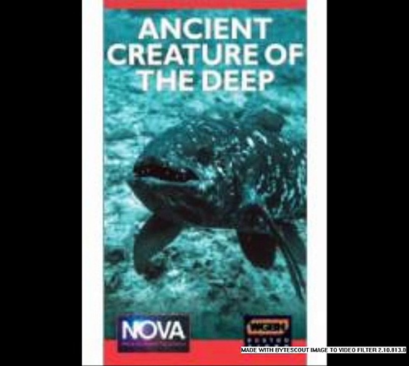Ancient Creature Of The Deep (2003)