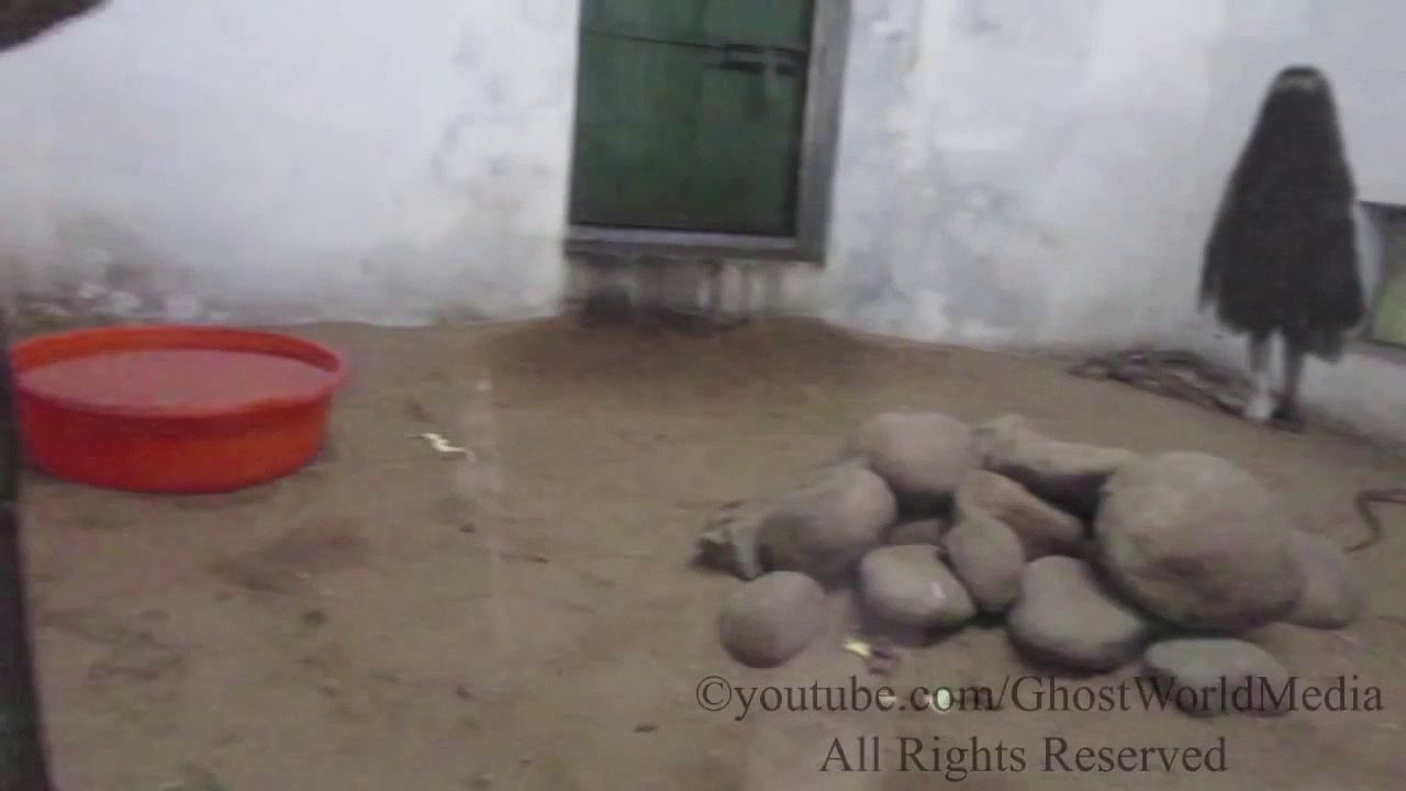 scary ghost videos real ghost caught on tape in the snake cage scary videos of ghost caught on tape