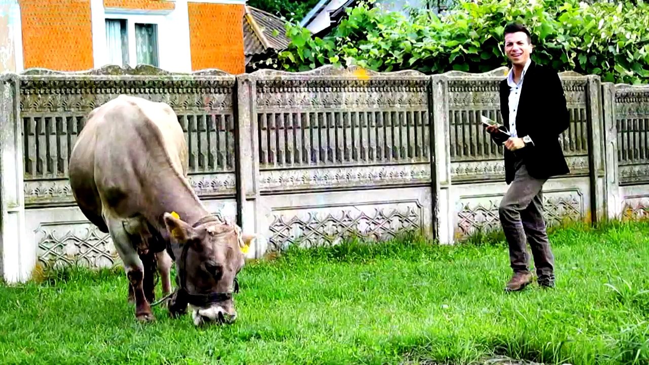 Alex de la Orastie - Cu netul la tara - Manele Noi 2013 (Videoclip HD) (HD)