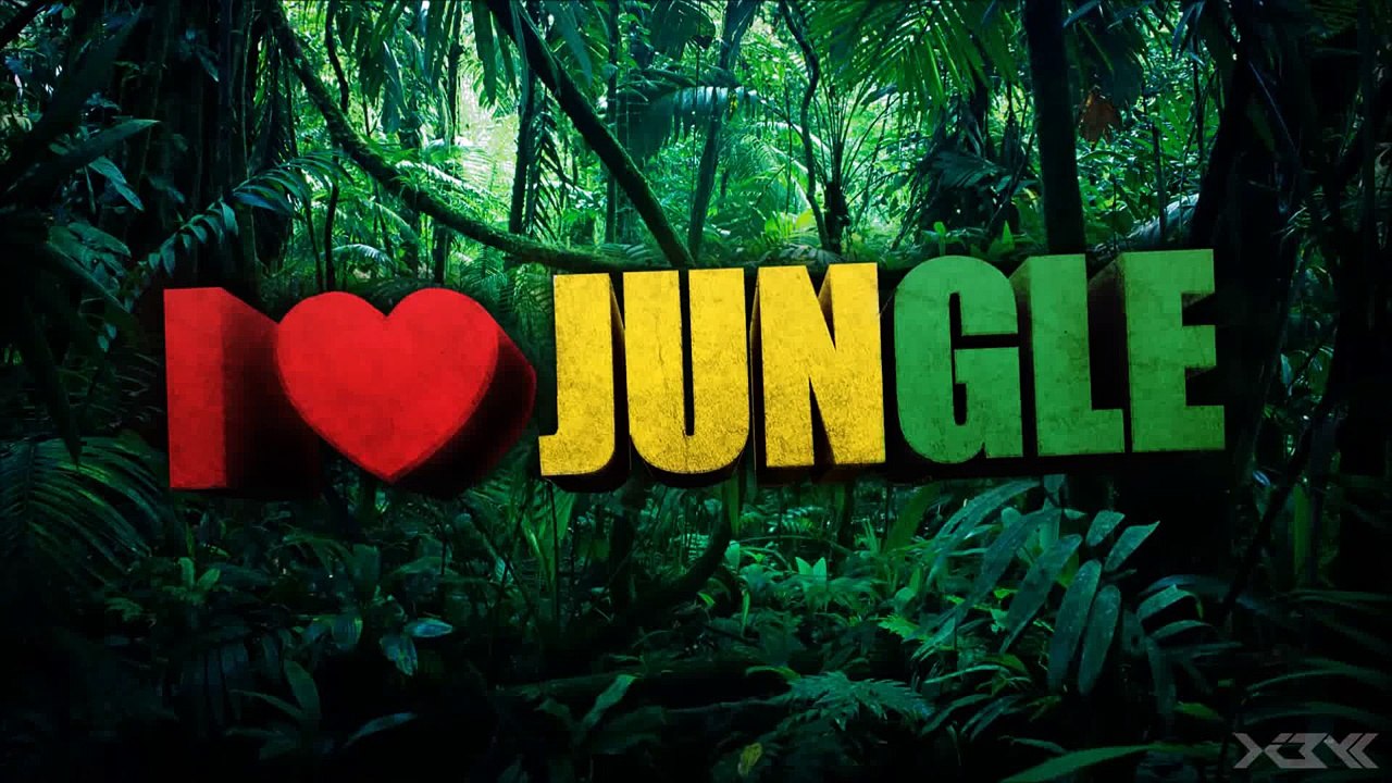 DRUM AND BASS REGGAE MiX {VOL.13} (by faXcooL) video Dailymotion