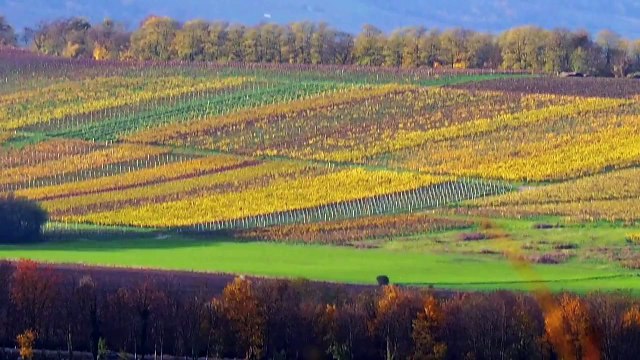 Frédéric Chopin - Nocturne in D flat Major Op. 27 No 2