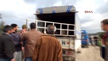 Tarsus - Çobanı Öldürüp, Küçükbaş Hayvanlarını Çalan Zanlı Çıkarıldığı Mahkemede Tutuklandı
