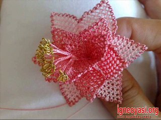 iğne oyası çiçek modelleri en güzel örnekler www.igneoyasi.org