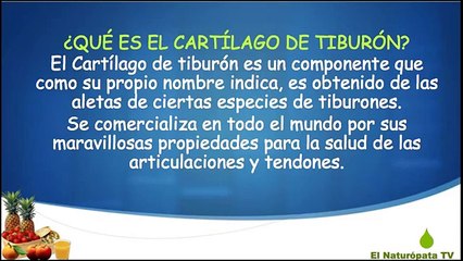 Cartílago de tiburón - Propiedades del cartílago de tiburón