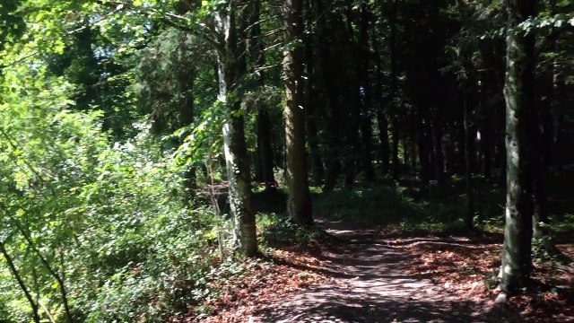 Grâce à quelques drones, ils recréent la fameuse course de pods de Star Wars !