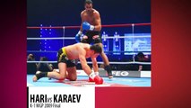 Badr Hari - Greatest Knockouts 2015 - HQ
