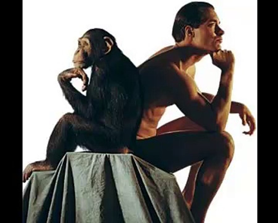 Descubren un gen clave en la evolución del cerebro