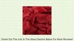 Red Silk Rose Petals ~ 200 Petals by efuture Review