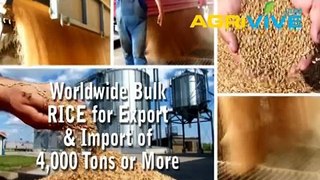Bulk Rice Purchase, Bulk Rice, Bulk Rice, Wholesale Bulk Rice, Bulk Rice, Wholesale Bulk