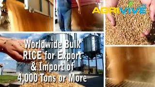 Buy Bulk Rice for Export, Rice Exporter, Rice Exports, Rice Exporting, Rice Exporters